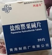 健康无小事,血管的“解痉能手