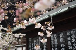 <b>日本出台新规：限制加密货币保证金交易杠杆率</b>